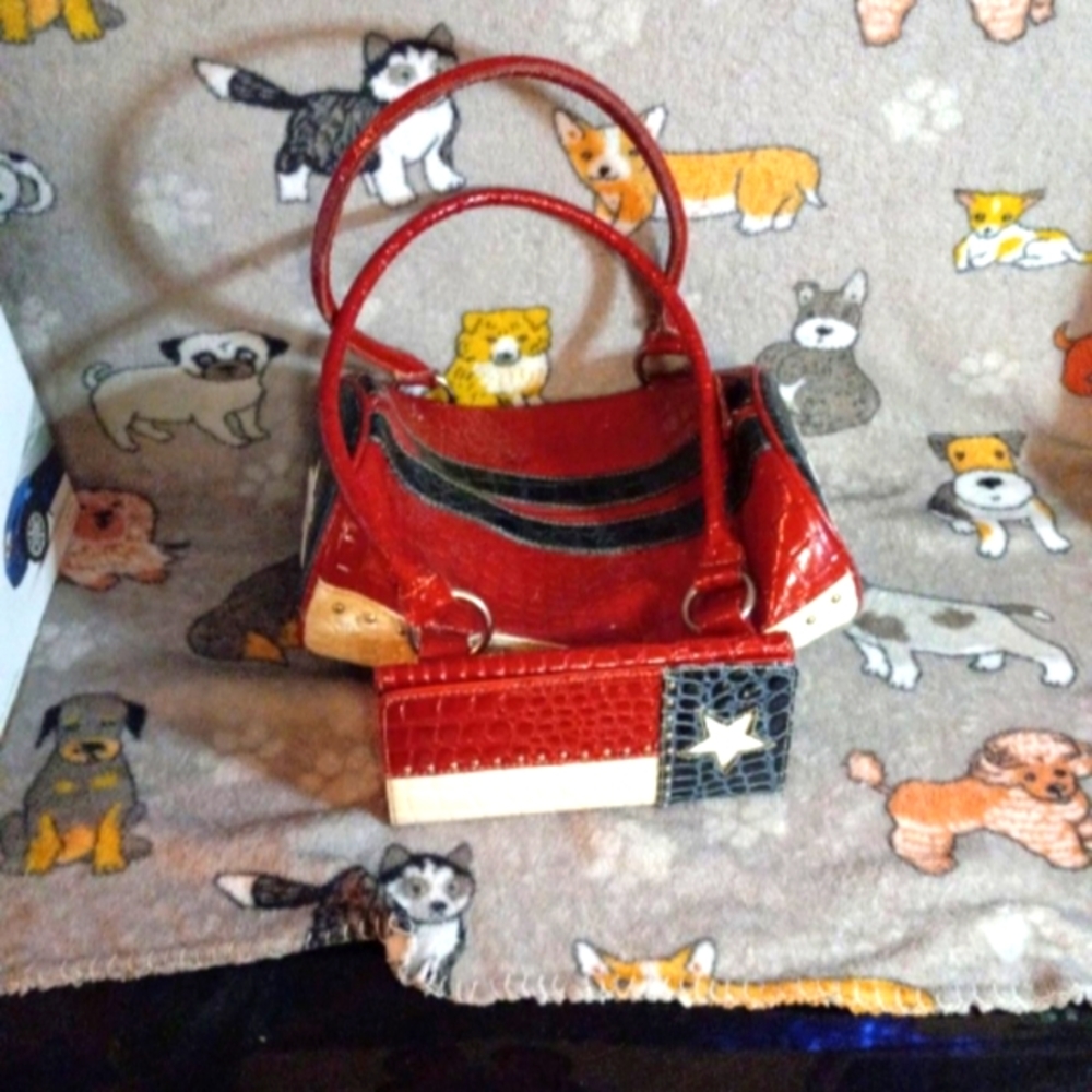 A woman's handbag and wallet